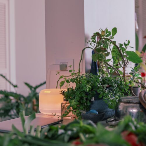 air purifier