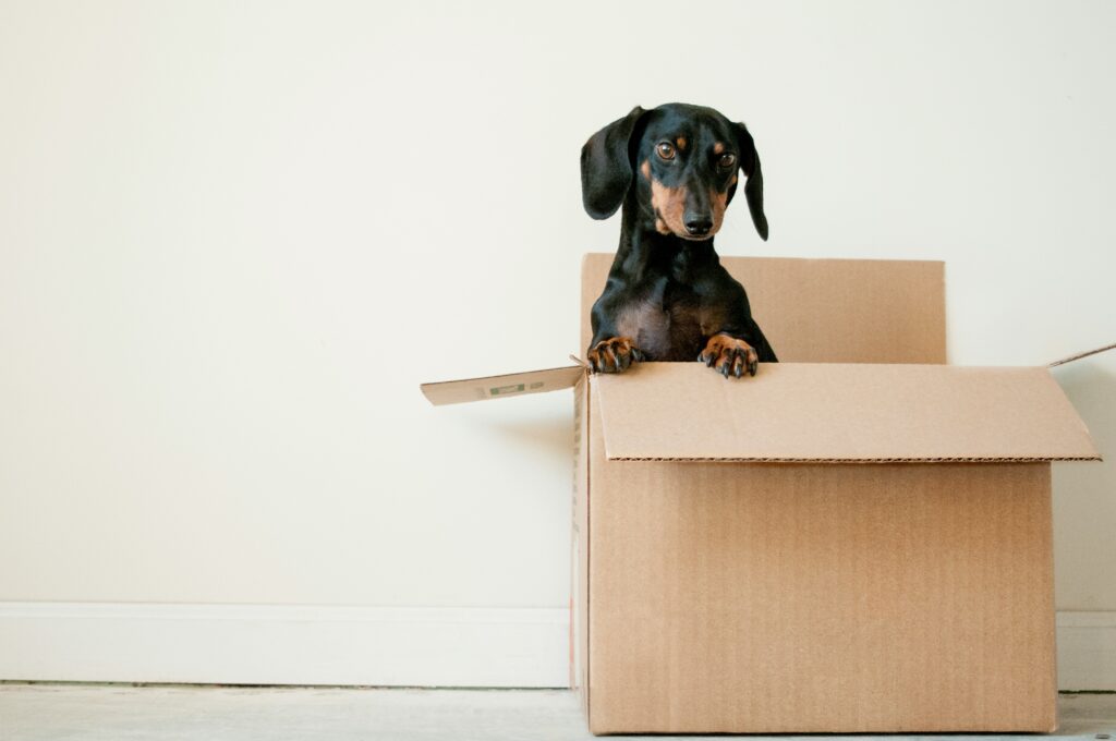 Moving House