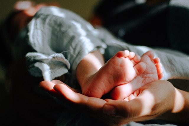 Cord Blood