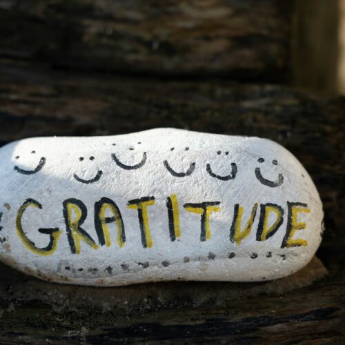 Why Gratitude is a Superpower for Families  